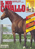 Il mio Cavallo
