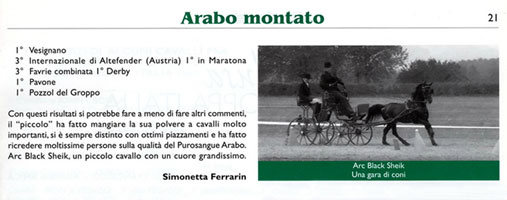 Arc Black Sheikh risultato
