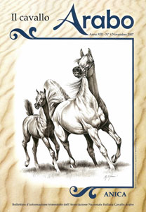 Arc Black Sheikh