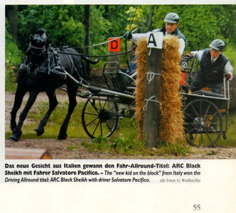 Arc Black Sheikh risultato