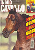 Il mio cavallo